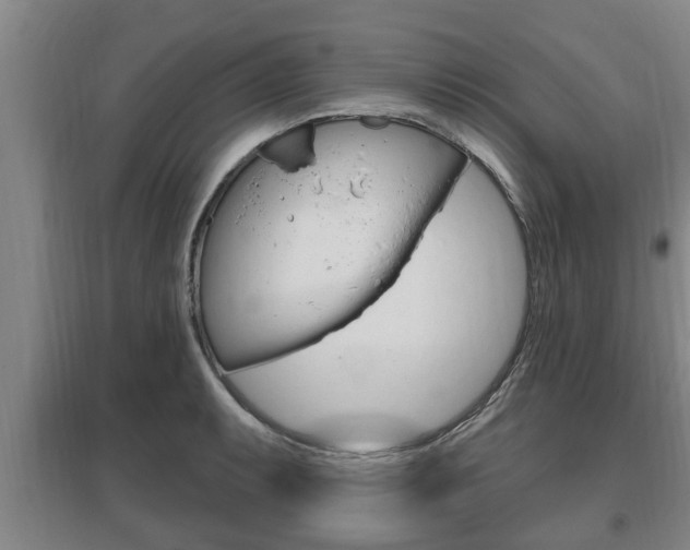 X0000095961087200801110940