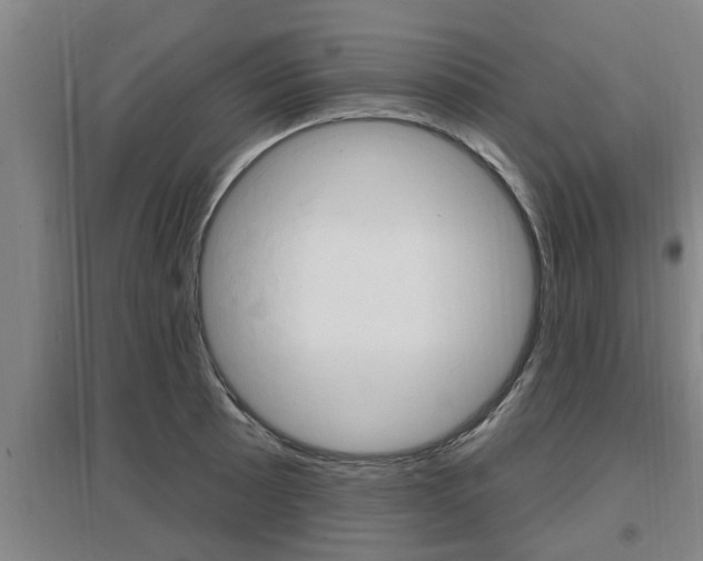 X0000095961089200801110940