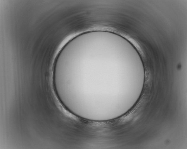 X0000095961094200801110940