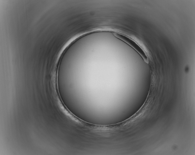 X0000095961100200801110940