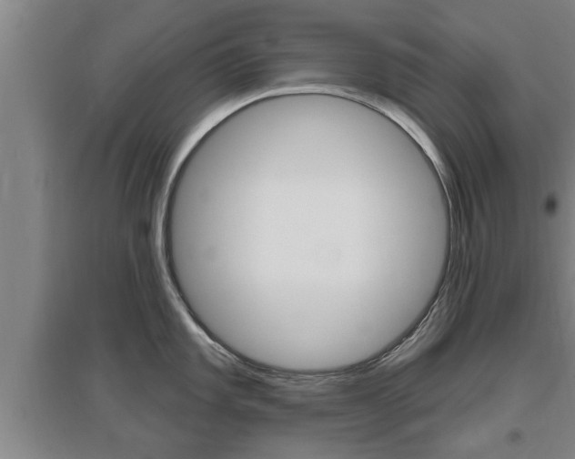 X0000095961101200801110940