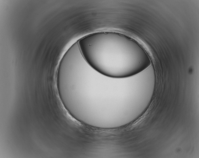 X0000095961102200801110940