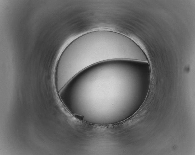 X0000095961104200801110940