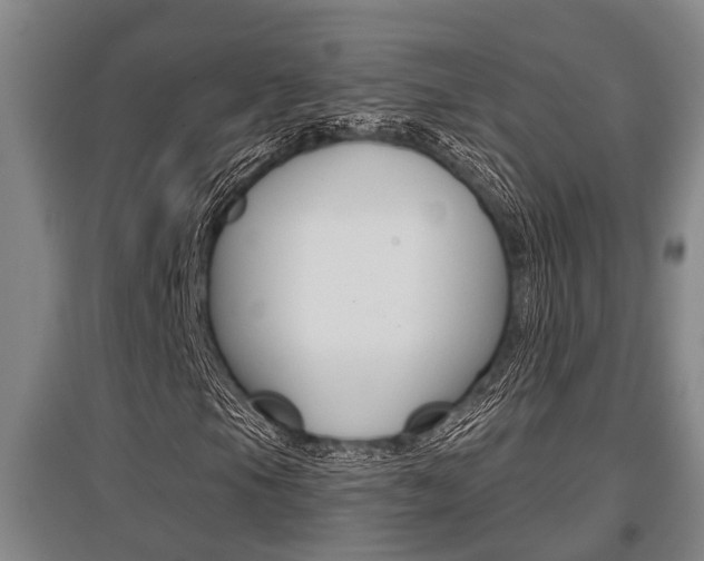 X0000095961105200801110939