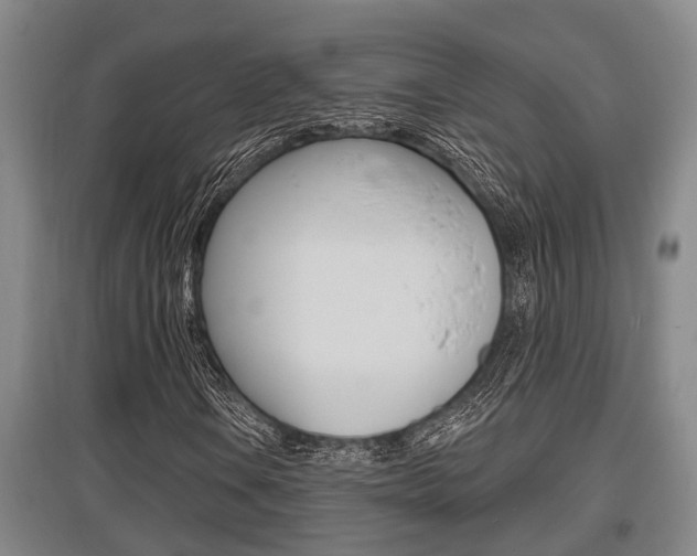 X0000095961106200801110939