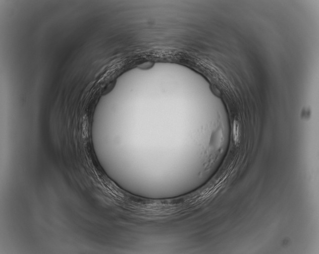 X0000095961107200801110939