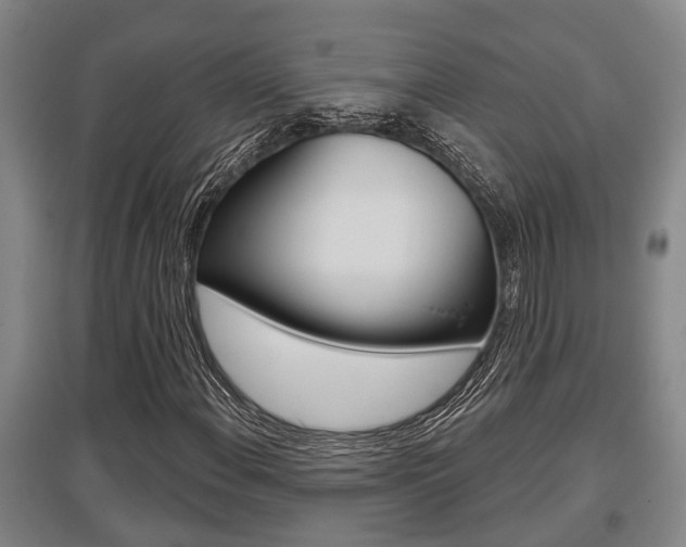X0000095961108200801110939