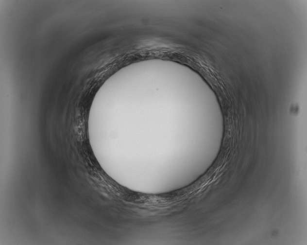 X0000095961109200801110939