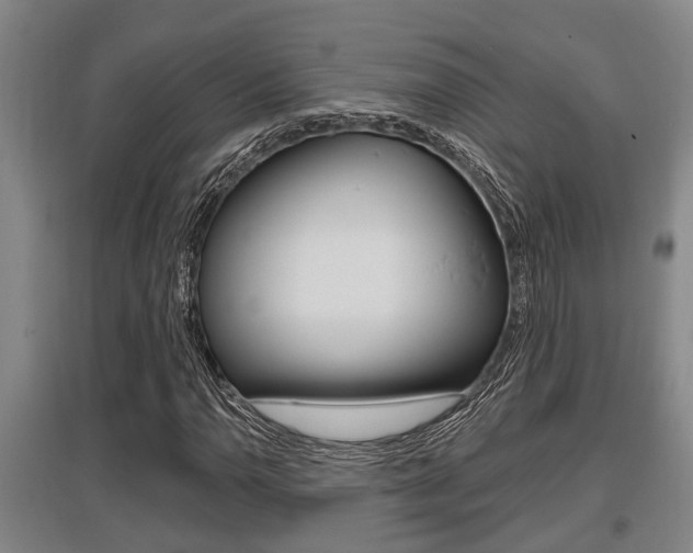 X0000095961110200801110939