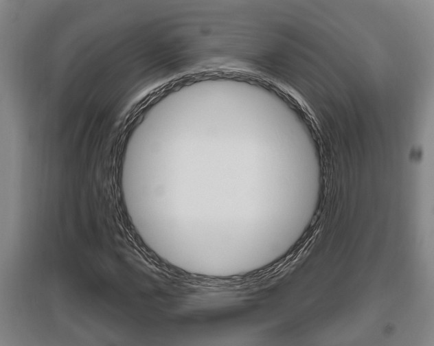 X0000095961112200801110939