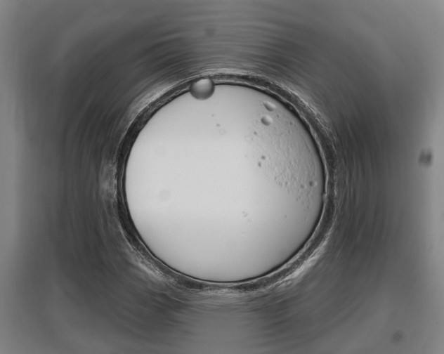 X0000095961113200801110939