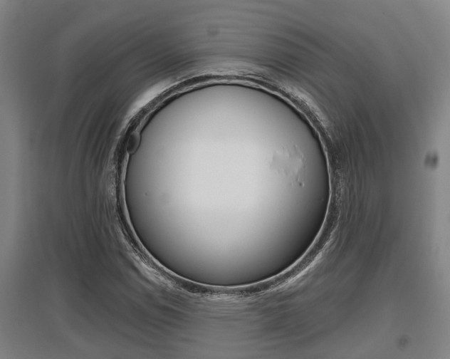 X0000095961114200801110939