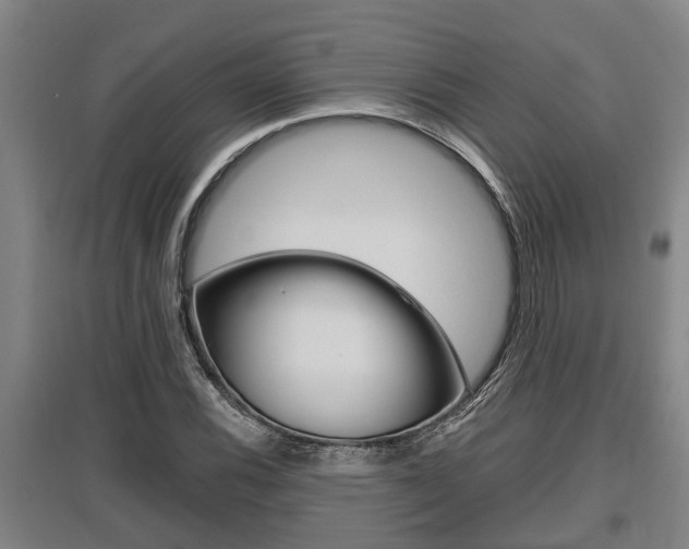 X0000095961116200801110939