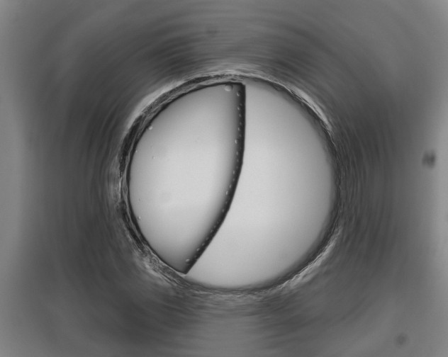 X0000095961117200801110939