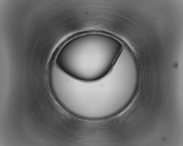 X0000095961118200801110939