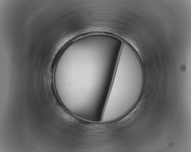 X0000095961119200801110939