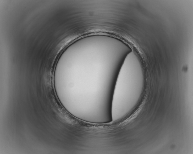 X0000095961121200801110939