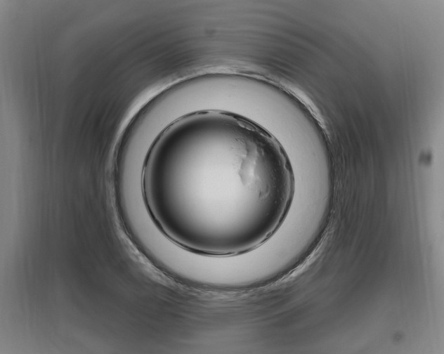 X0000095961122200801110939