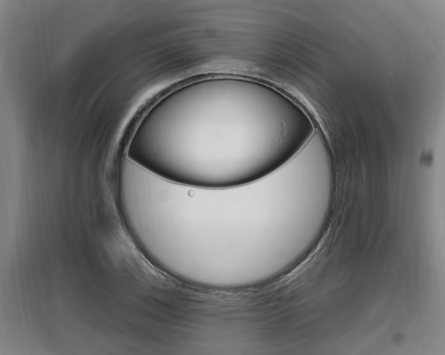 X0000095961123200801110940