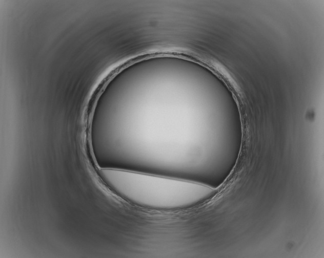 X0000095961124200801110940