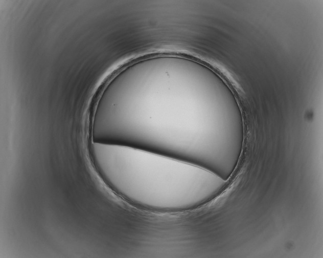 X0000095961126200801110940
