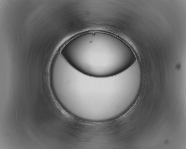 X0000095961127200801110940