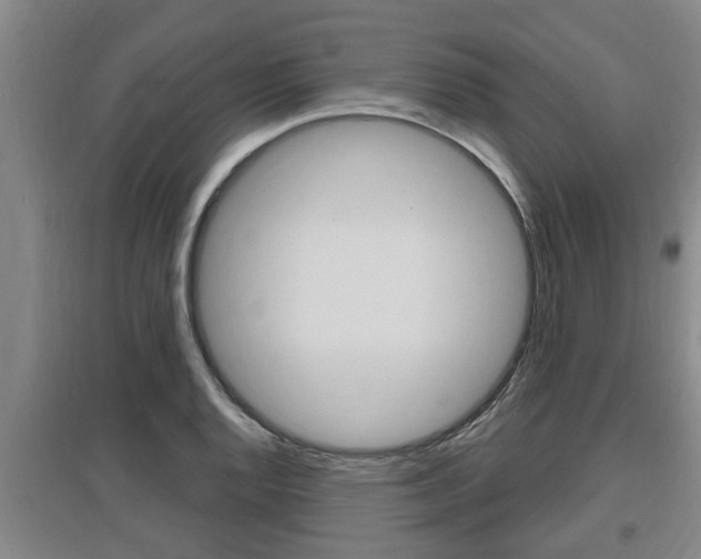 X0000095961128200801110940