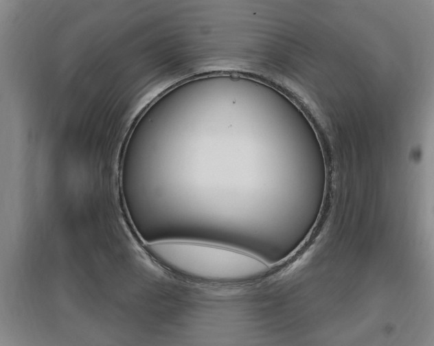 X0000095961129200801110940