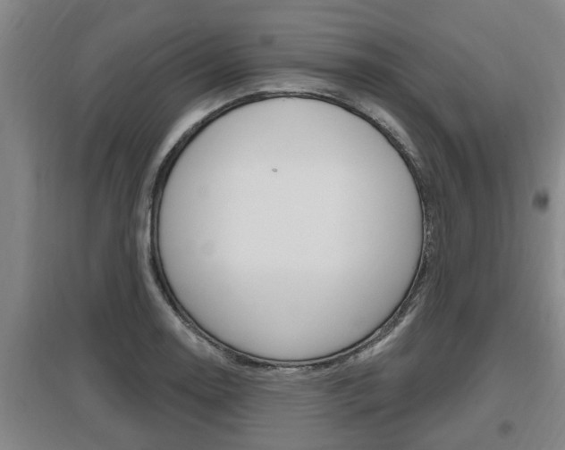 X0000095961130200801110940