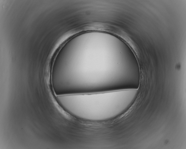X0000095961131200801110940