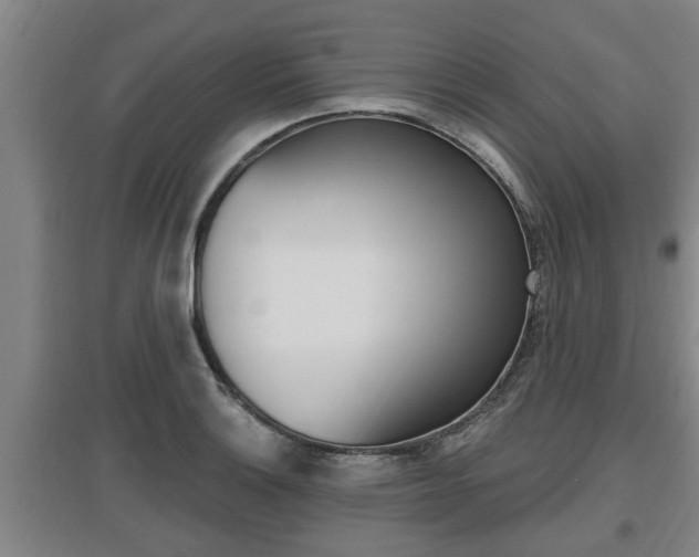 X0000095961132200801110940