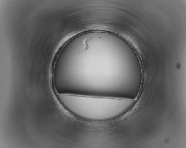 X0000095961133200801110940