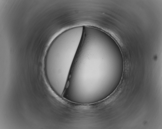 X0000095961134200801110940