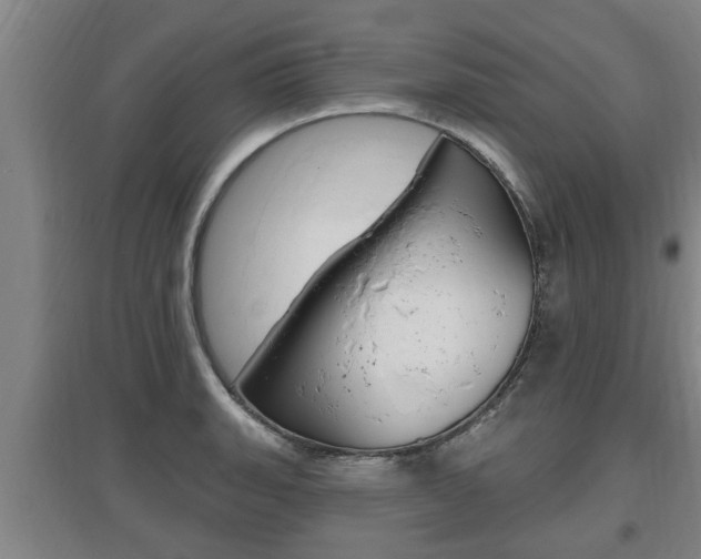 X0000095961135200801110940