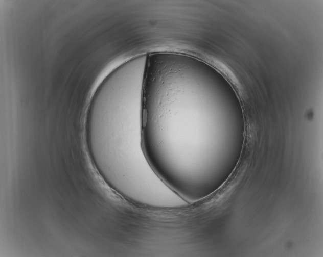 X0000095961138200801110940