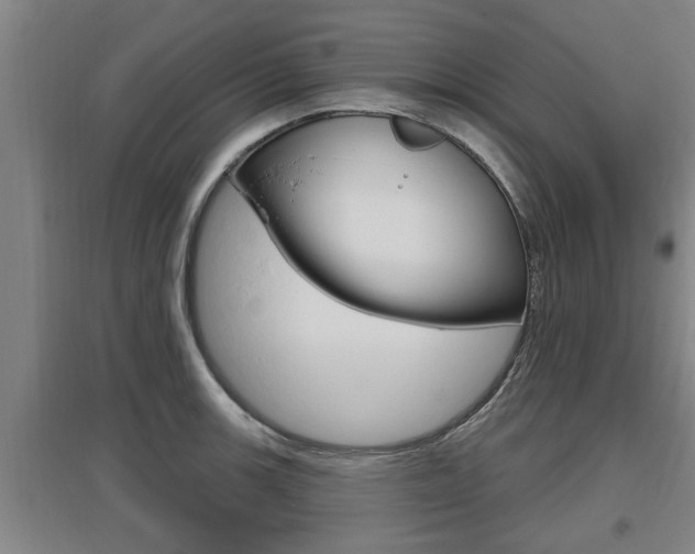 X0000095961139200801110940