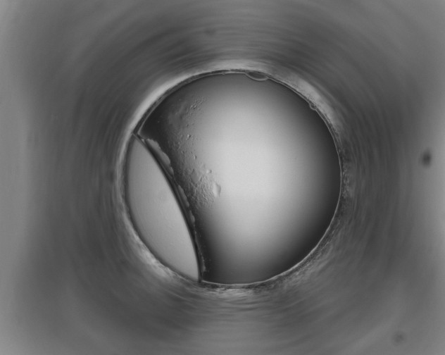 X0000095961140200801110940