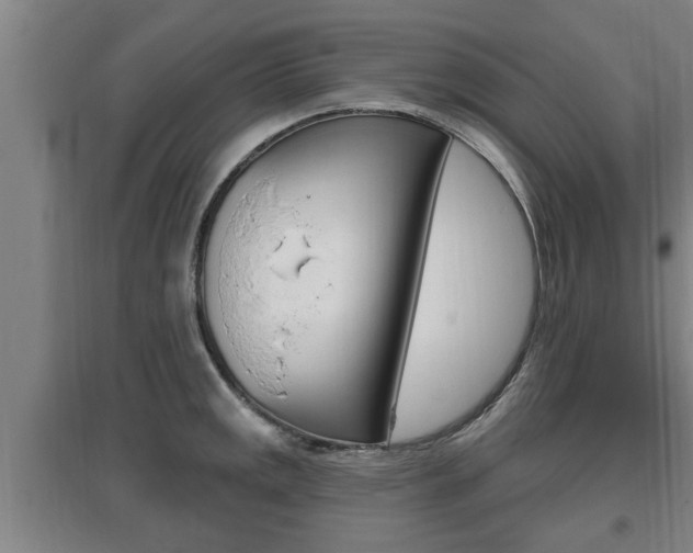 X0000095961141200801110940