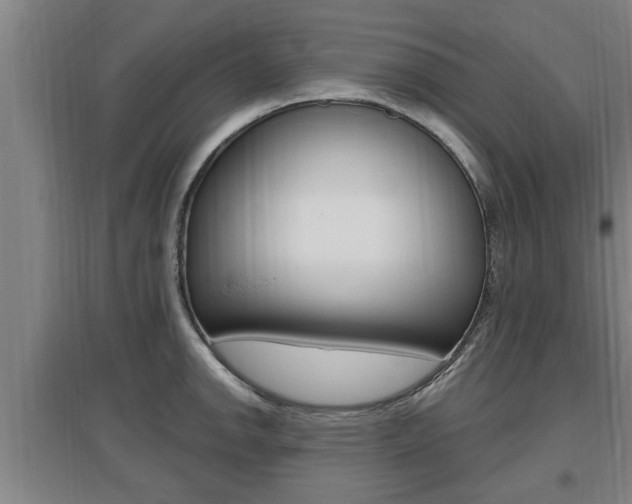 X0000095961142200801110940