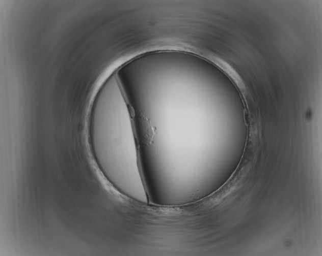 X0000095961144200801110940