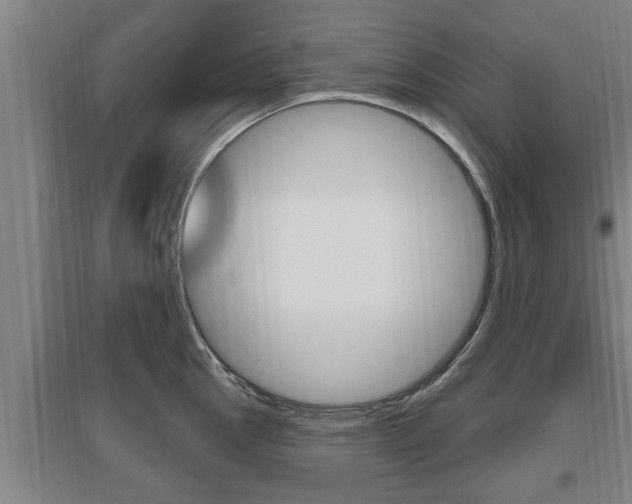 X0000095961145200801110940
