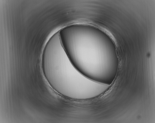 X0000095961146200801110940