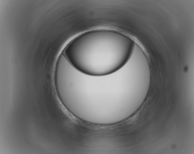 X0000095961148200801110940