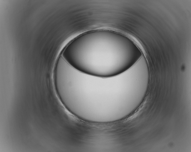X0000095961149200801110940