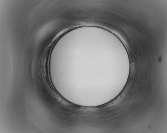 X0000095961150200801110940