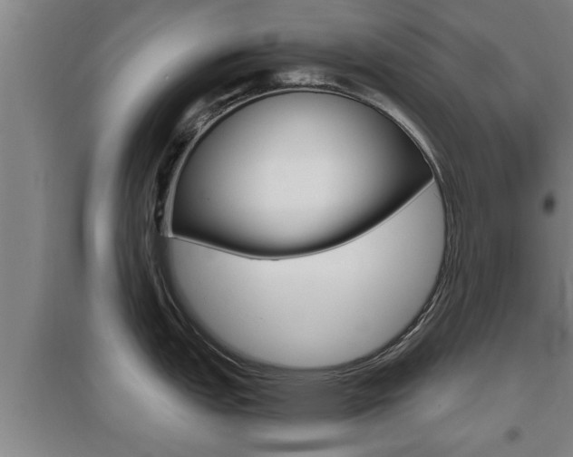 X0000095961151200801110940