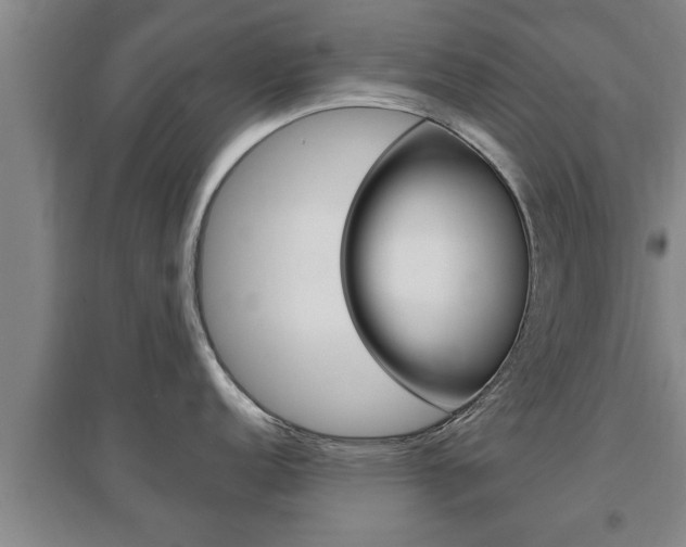 X0000095961152200801110940