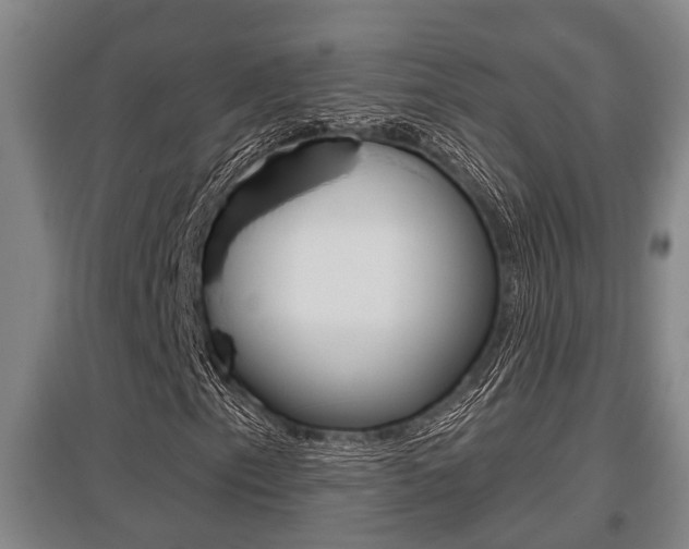 X0000095961153200801110939