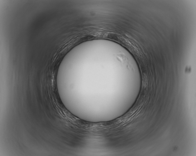 X0000095961154200801110939