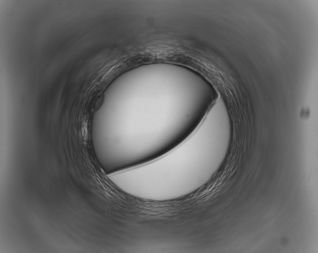 X0000095961155200801110939